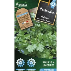 PROTECTA - Graines paysannes - coriandre cultivée