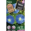PROTECTA - Graines paysannes - ipomée grimpante à fleur bleue