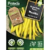 PROTECTA - Graines paysannes - haricot nain beurre maxidor