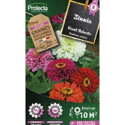 PROTECTA - Graines paysannes - zinnia géant robusta