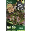 PROTECTA - Graines paysannes - laitue merveille des 4 saisons