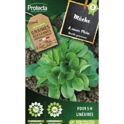 PROTECTA - Graines paysannes - mâche verte à coeur plein 2