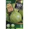 PROTECTA - Graines paysannes - courgette de nice à fruit rond