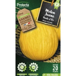 PROTECTA - Graines paysannes - melon jaune boule d'or
