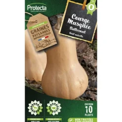 PROTECTA - Graines paysannes - courge musquée de provence bio