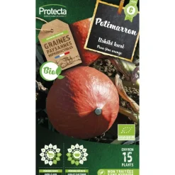 PROTECTA - Graines paysannes - potimarron ushiki kuri bio