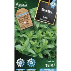 PROTECTA - Graines paysannes - menthe verte