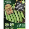 PROTECTA - Graines paysannes - pois nain à grain ridé merveille de kelvedon