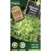 PROTECTA - Graines paysannes - chicorée frisée de meaux