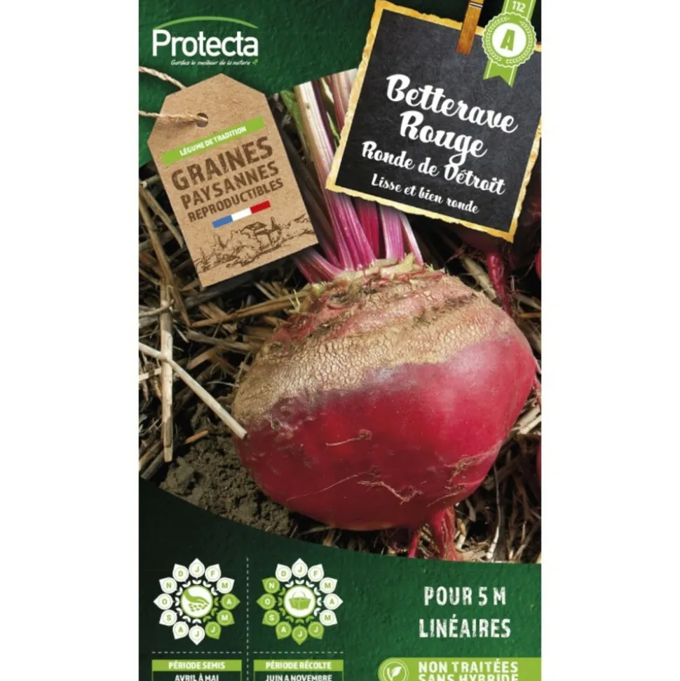 PROTECTA - Graines paysannes - betterave de detroit