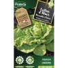 PROTECTA - Graines paysannes - laitue merveille d'hiver