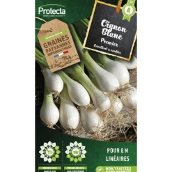 PROTECTA - Graines paysannes - oignon blanc premier