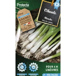 PROTECTA - Graines paysannes - ciboule blanche
