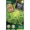 PROTECTA - Graines paysannes - chicorée frisée wallonne