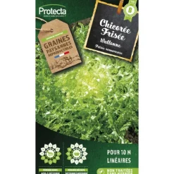 PROTECTA - Graines paysannes - chicorée frisée wallonne