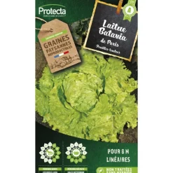 PROTECTA - Graines paysannes - laitue batavia blonde de paris