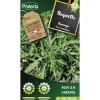 PROTECTA - Graines paysannes - roquette sauvage