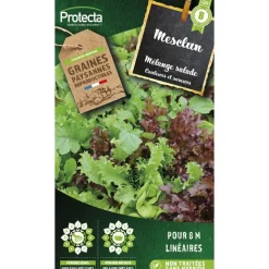 PROTECTA - Graines paysannes - mesclun salade en mélange
