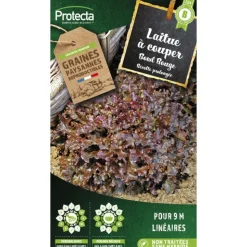 PROTECTA - Graines paysannes - laitue à couper red salad bowl