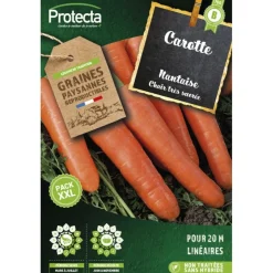 PROTECTA - Graines paysannes - carotte nantaise améliorée 3 xxl