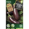 PROTECTA - Graines paysannes - aubergine violette de barbentane