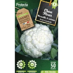 PROTECTA - Graines paysannes - chou fleur merveille de toutes saisons