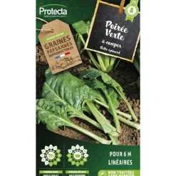 PROTECTA - Graines paysannes - poirée verte à couper