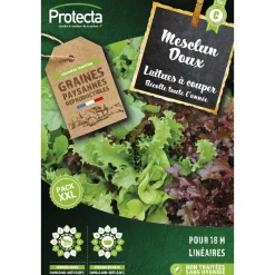 PROTECTA - Graines paysannes - mesclun laitue à couper en mélange xxl