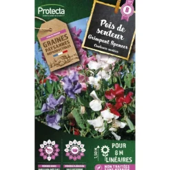 PROTECTA - Graines paysannes - pois de senteur grimpant spencer