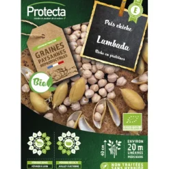 PROTECTA - Graines paysannes - pois chiche lambada bio