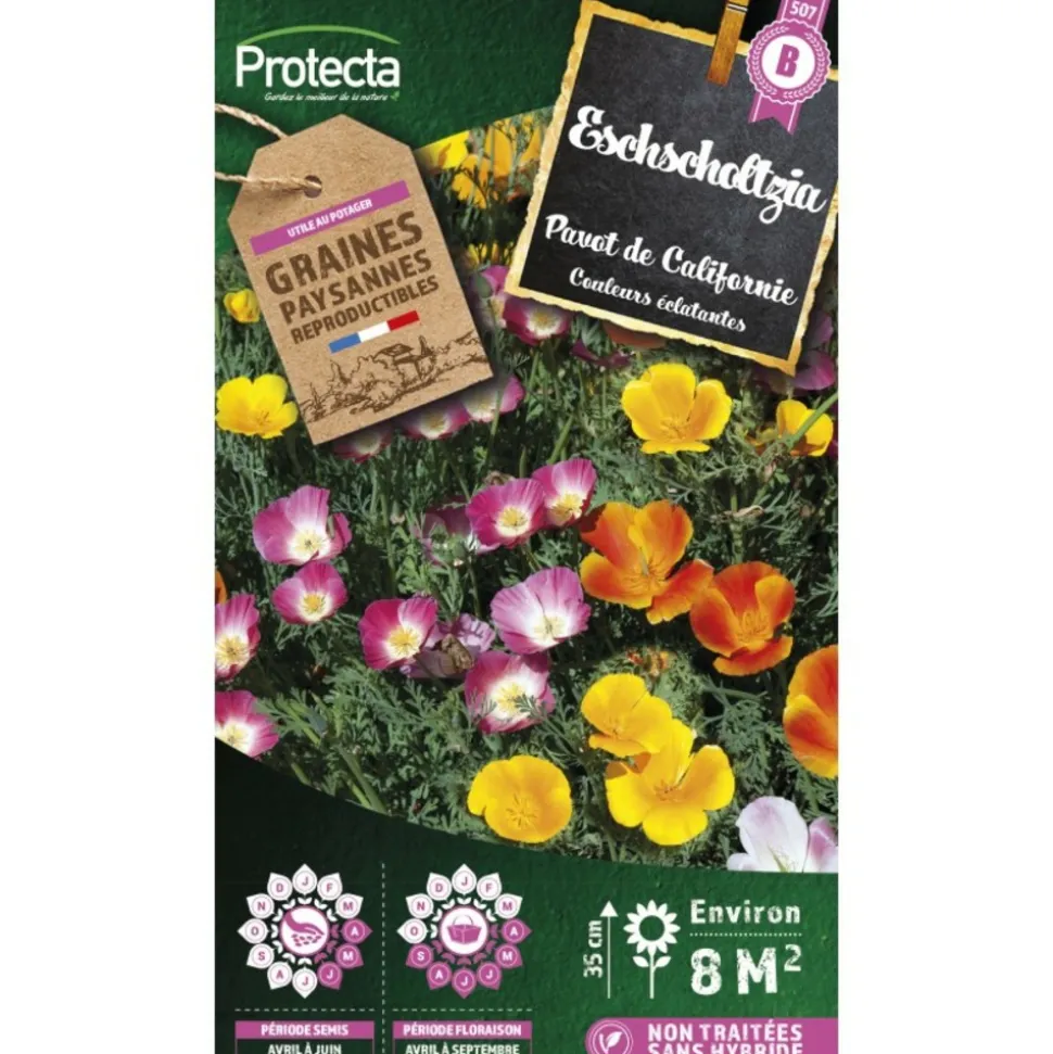 PROTECTA - Graines paysannes - eschscholtzia de californie