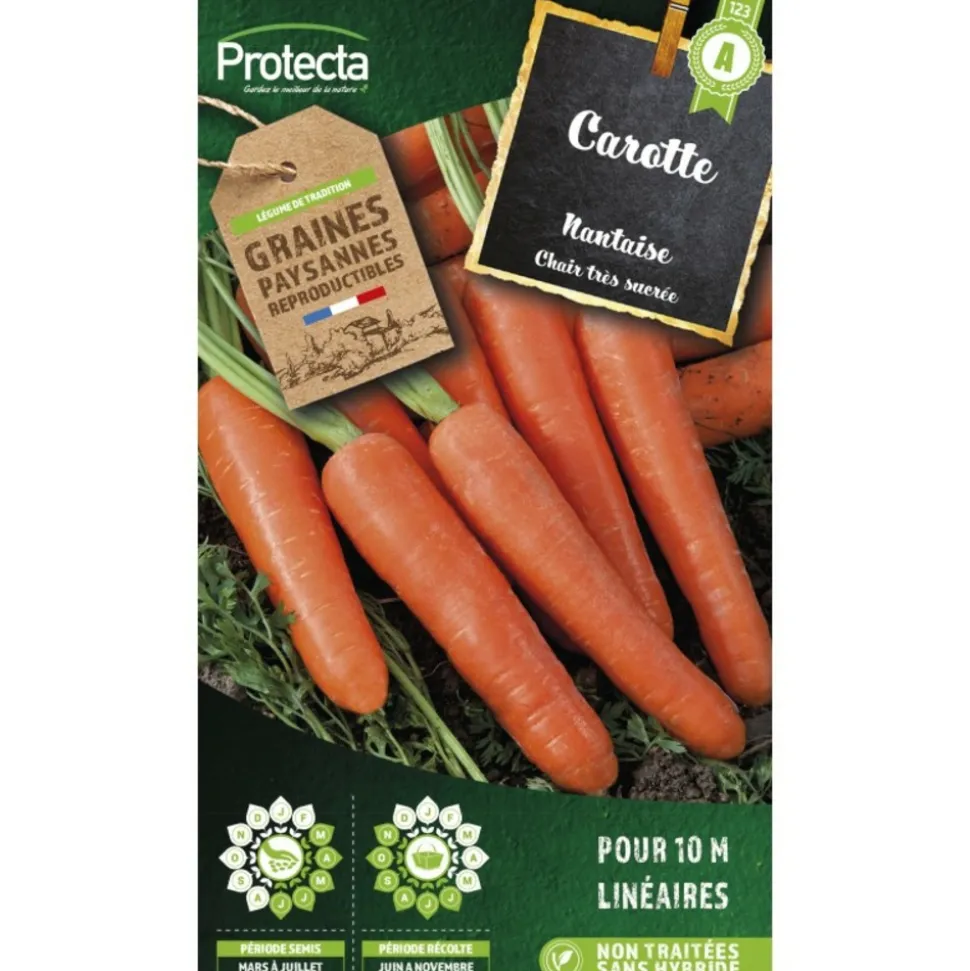 PROTECTA - Graines paysannes - carotte nantaise améliorée