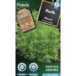 PROTECTA - Graines paysannes - aneth odorant