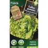 PROTECTA - Graines paysannes - laitue grosse blonde paresseuse