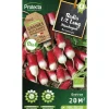PROTECTA - Graines paysannes - radis 1/2 long flamboyant bio