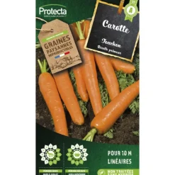 PROTECTA - Graines paysannes - carotte touchon