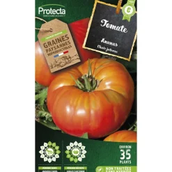 PROTECTA - Graines paysannes - tomate ananas