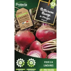 PROTECTA - Graines paysannes - betterave ronde de chioggia