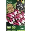 PROTECTA - Graines paysannes - radis 1/2 long de 18 jours