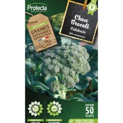 PROTECTA - Graines paysannes - chou brocoli à jets verts calabrais