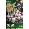 PROTECTA - Graines paysannes - radis rond rose à bout blanc