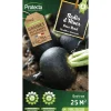 PROTECTA - Graines paysannes - radis noir gros rond d'hiver