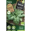 PROTECTA - Graines paysannes - epinard geant d'hiver bio