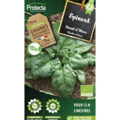PROTECTA - Graines paysannes - epinard geant d'hiver bio