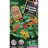 PROTECTA - Graines paysannes - capucine grande simple de lobb