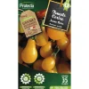 PROTECTA - Graines paysannes - tomate cerise yellow pearshapped