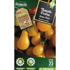 PROTECTA - Graines paysannes - tomate cerise yellow pearshapped