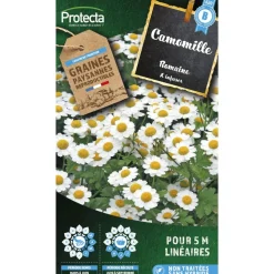 PROTECTA - Graines paysannes - camomille romaine