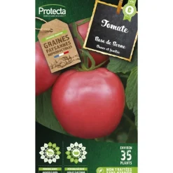 PROTECTA - Graines paysannes - tomate rose de berne