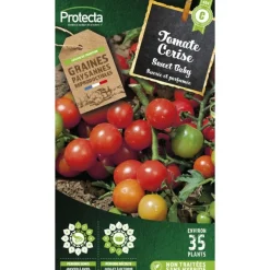 PROTECTA - Graines paysannes - tomate cerise sweet baby